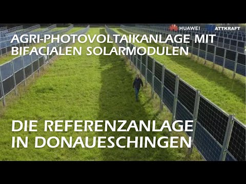 Agri-Photovoltaikanlage mit bifacialen Solarmodulen