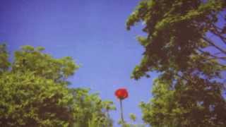 Benoît Pioulard | Shut-Ins On Sunday See