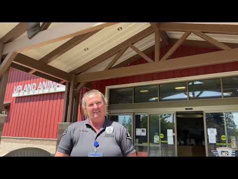 UPDATE !!!Man threatens to blend kitten in front of animal control officer at Upland Animal Shelter