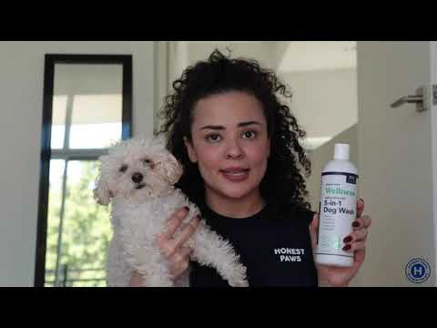 Honest Paws 5-1 Dog Wash