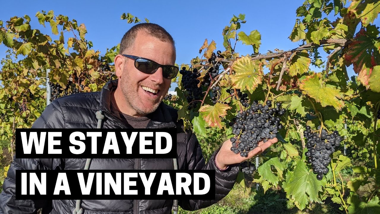 HARVEST HOSTS IN FENN VALLEY WINERY MICHIGAN | Saugatuck and Grand Rapids