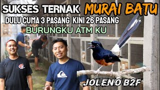 Download lagu Tips sukses ternak murai batu trah jawara Joleno B2F Klaten mp3