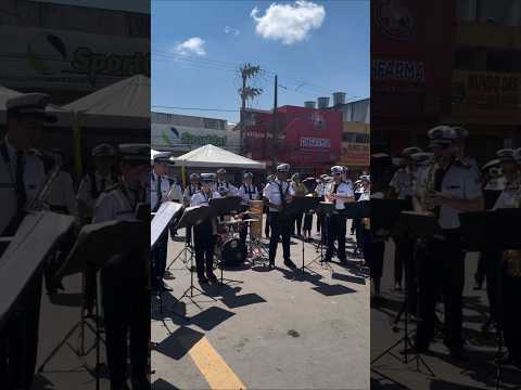 BANDA MUSICAL SELVA BRANCA #pernambuco #7desetembro #bomconselho