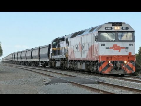 El Zorro grain train with G521 & C501 -  Australian Railways,  Railroads and Trains