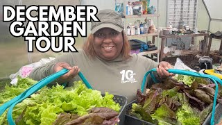 December Garden Tour| Zone 7