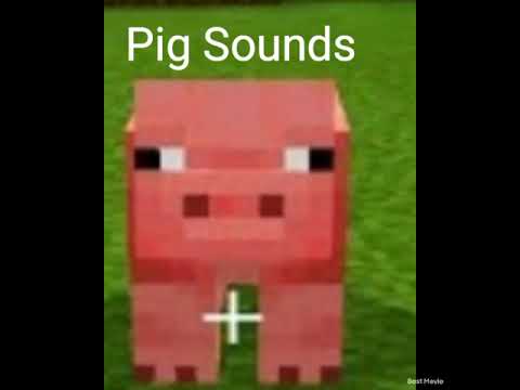 Minecraft Sounds - Minecraft Pig Sounds! [Sound] [Minecraft]  #shorts #minecraft #pigSounds #foryou #foryoupage