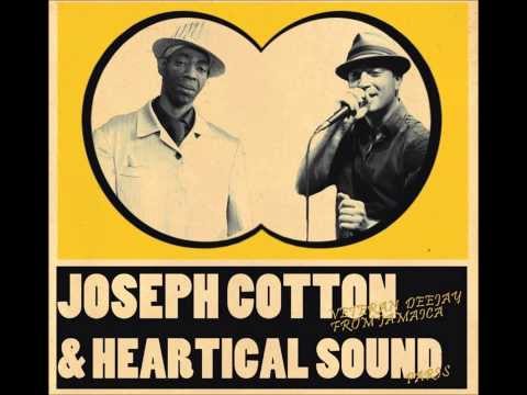 Heartical Dubplates Mix - Joseph Cotton & Friends