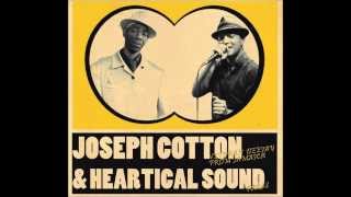 Heartical Dubplates Mix - Joseph Cotton & Friends