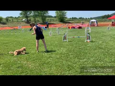 Kesszi Pilis Open 2019