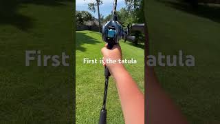 Download lagu Shimano Curado vs Diawa Tatula #diawareels #shimano #shimanocuradodc mp3