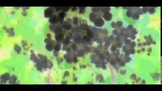 Marc Romboy  Stephan Bodzin - Hyperion (Stimming Remix)