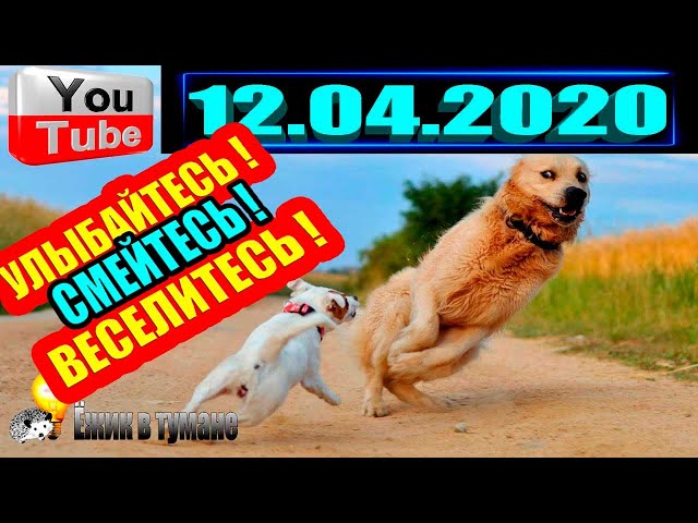 ПОДБОРКА Лучших Приколов  Смешные Видео из ТИК ТОКА