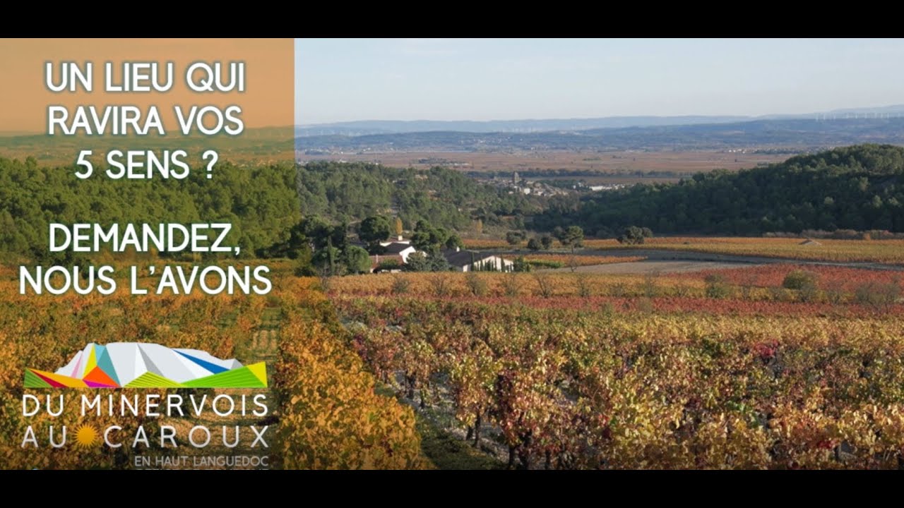 Un lieu qui ravira vos 5 sens ?, Office de Tourisme du Minervois au Caroux