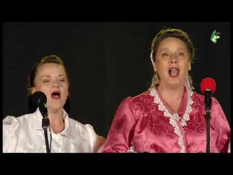 A HTO VIDZEL -  KUD "Žatva", Kocur