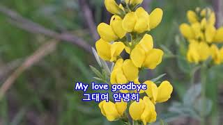 Ribbon of Darkness - Connie Smith: with Lyrics(가사번역) | Rocky Mountain National Park on June 9, 2017