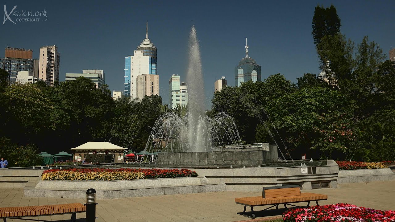 A relaxing day tour of Hong Kong’s oldest garden with monkeys, birds, and tropical plants
