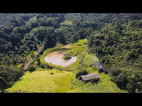 CHÁCARA / SÍTIO COM 4 DORMITÓRIOS, 2 VAGAS, 300M² ÁREA PRIVATIVA para venda EM PICADA 48 ALTA