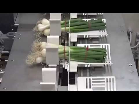 Linea automatica legatura a filo elastico con applicazione etichetta