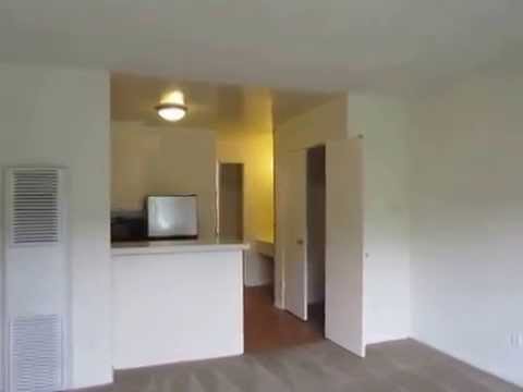 PL4416 - Spacious Studio Apartment for Rent! (West Los Angeles, CA)