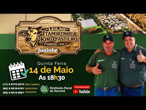 Leilão Parceria SR de Itarumã-GO, Kiko Castilho e Itamirzinho