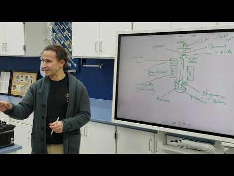 Electron Optics.  The SEM basics explained