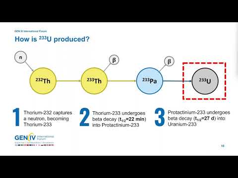 Webinar 84: Characterization of U-233 for Thorium Fuel Cycle Safeguards
