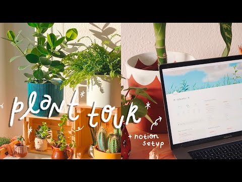 , title : 'Plant care for beginners + houseplant tour'