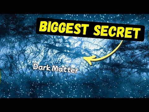 The Biggest Mystery in Space 