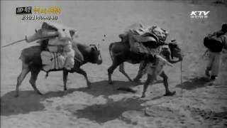 [되살아나는 목소리] 30초 예고편