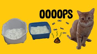 Pooping Outside the Litter Box? CatTV