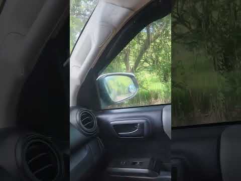camino a la coyotera el paraiso chalatenango #paisajesextremos #nature