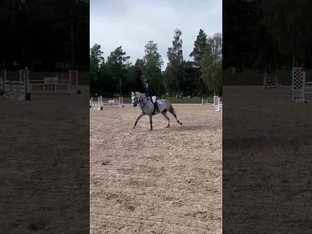 1.20 cm Showjumping