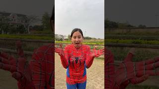 Spidey Shocked Reaction to a Cute Cat