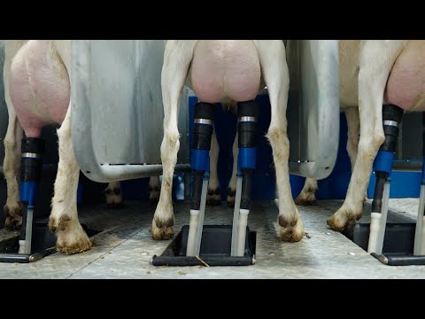 2RO External Rotary for goats (included the QuickUp)