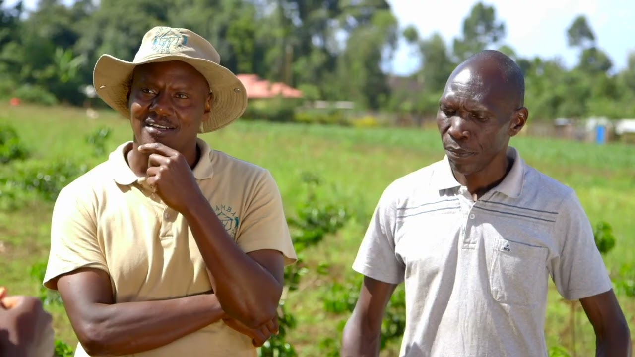 SSU Kenya - Season 13: Episode 20 (Farm 15) Iron-rich beans (Eng)