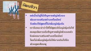 วัฒนชีวาใช้เพื่ออะไร และวิธีการใช้อย่างถูกต้อง วัฒนชีวาใช้เพื่ออะไร และวิธีการใช้อย่างถูกต้อง