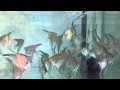 IMG 0073