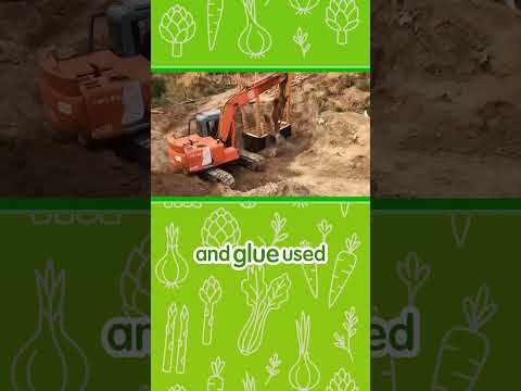 Paul Wheaton's Passive Greenhouse: Devious Experiments Unveiled