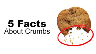 5 Facts About Crumbs