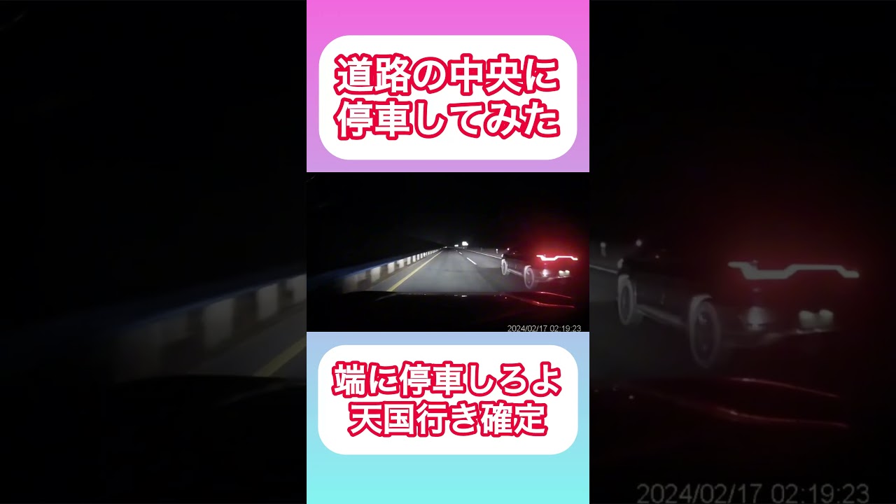 道の真ん中で停車してみた #shorts #automobile #ドラレコ #事故 #警察 #海外の反応 #車 #バズれ