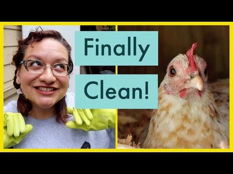 Nesting Pads For Backyard Chickens! Review of My Favorite Chicken Nesting Pads