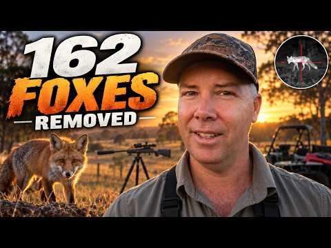 Mind Blowing Predator Control Result | 162 Foxes in One Biosecurity Program