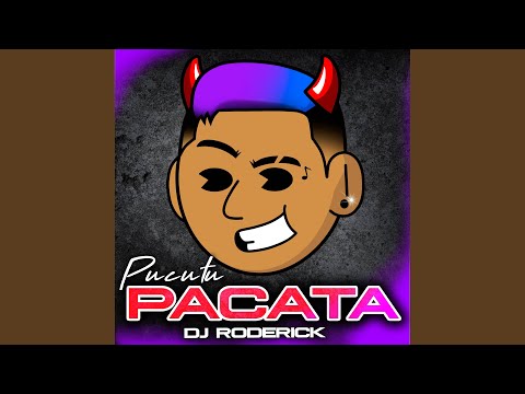 Pucutu Pacata (Guaracha Aleteo)