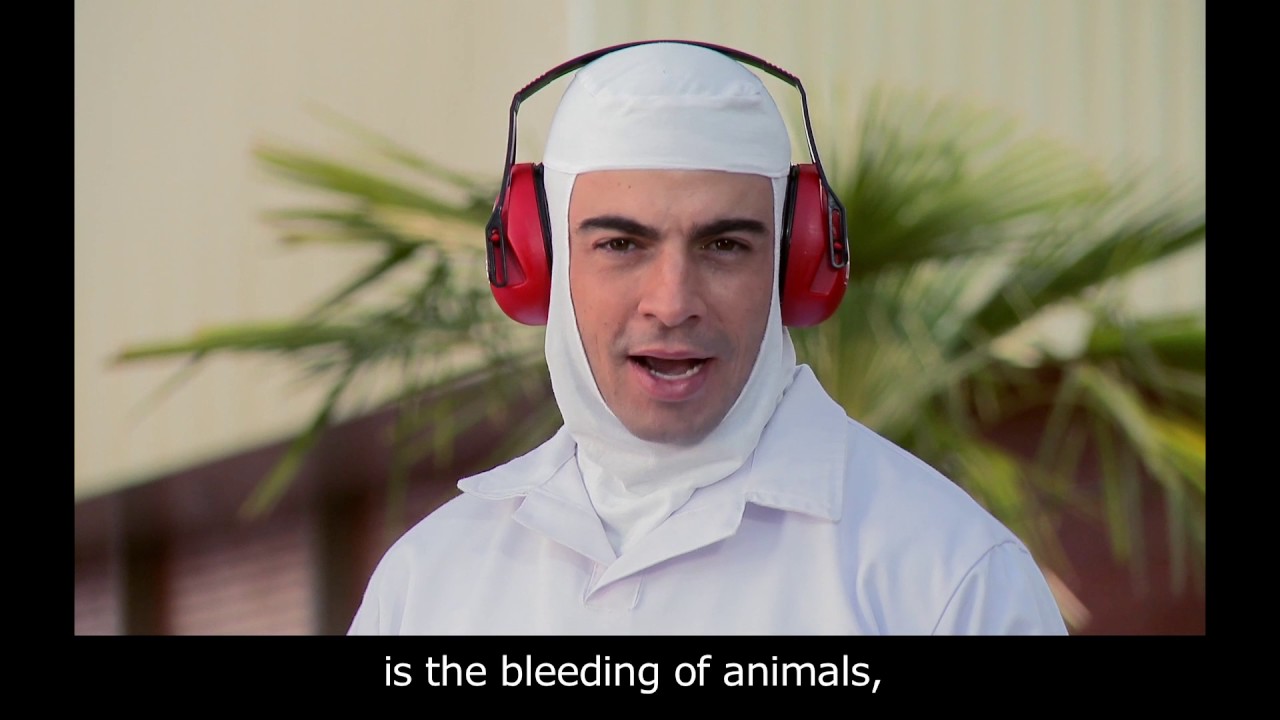 Série 100% Seguro - SESI - Frigorífico -  Suínos   Abate LB  - English subtitle