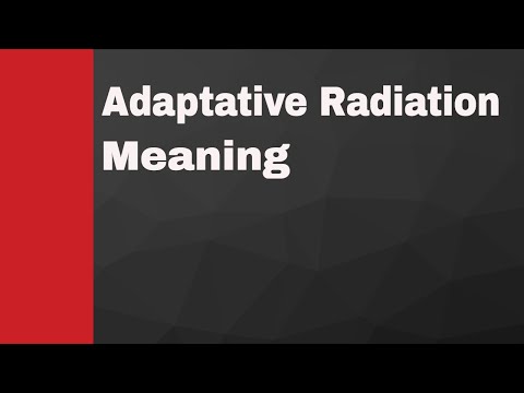 Adaptive Radiation Meaning