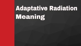 Adaptive Radiation Meaning