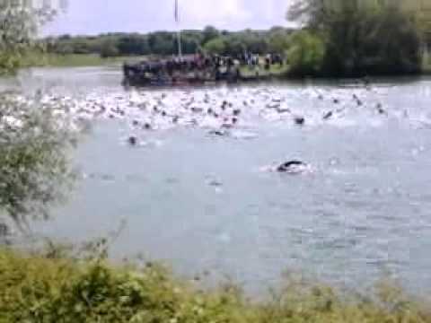 Competition de natation a Bourg en bresse .