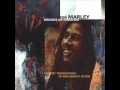 Bob Marley One Love Dub.wmv