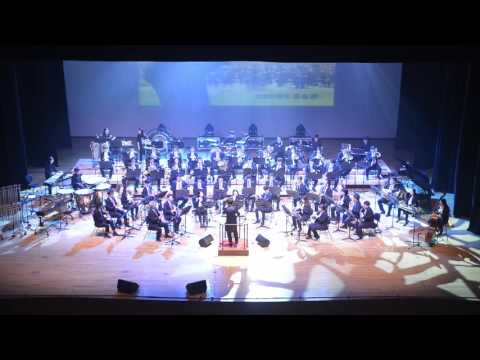 Funk Attack  Otto M Schwarz