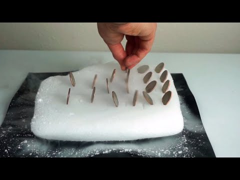 They're Alive! Awesome Effect Turns Coins Into Butterflies on Dry Ice Video